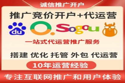 顶级SEM服务公司案例解析